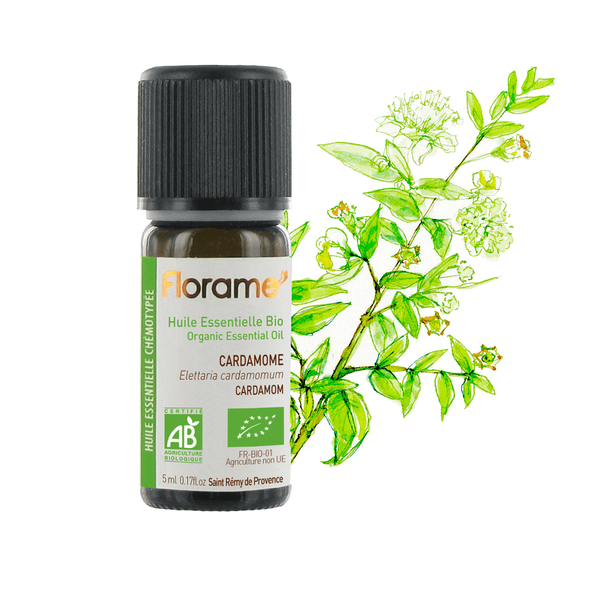 Organic Cardamom Essential Oil