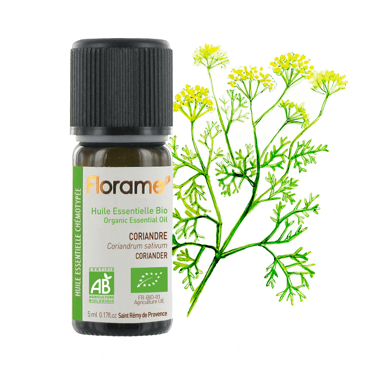 Organic Coriander Essential Oil