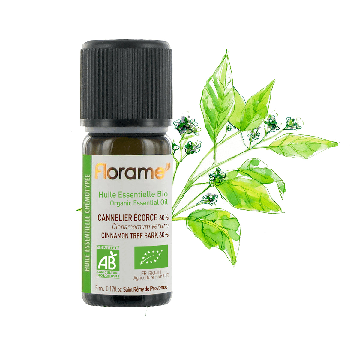 Organic Cinnamon Tree Bark Essential Oil