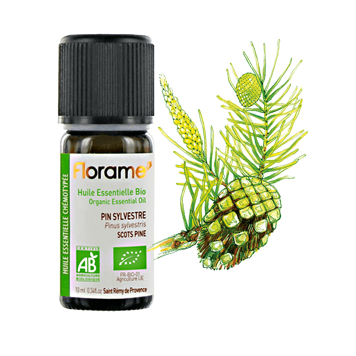 Huile Essentielle de Pin Sylvestre Biologique