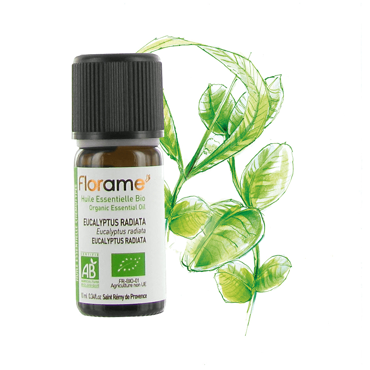 huile-essentielle-Eucalyptus-Radiata-florame