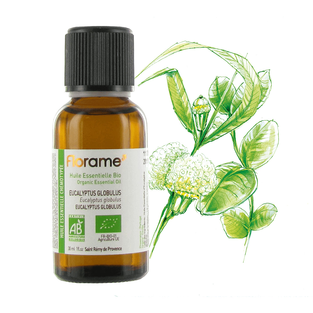 huile-essentielle-Eucalyptus-globulus-florame