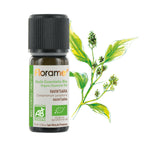 huile-essentielle-Ravintsara-florame-10ml